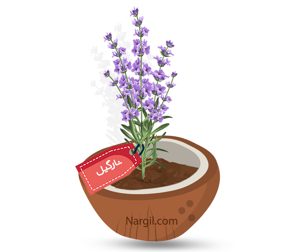  Nargil - Official lavender